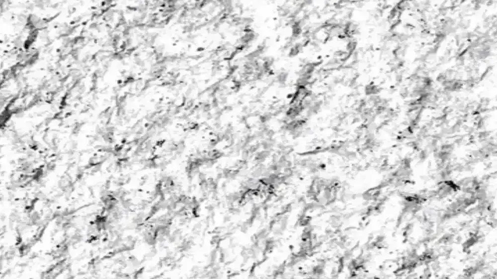 PHOMI Bush Hammered Series
